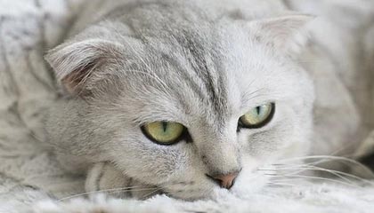 睢县伴游，定制QQ：3494206190微信：act1322